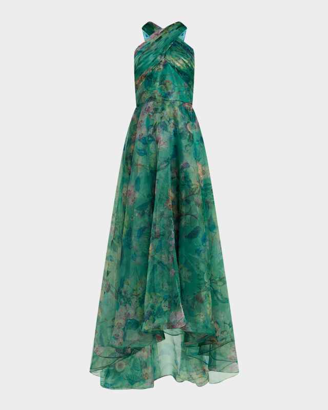 Luana Floral-Print Organza Halter Gown